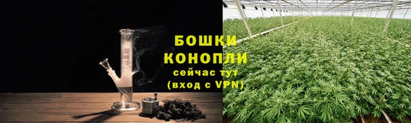 дмт Заволжск