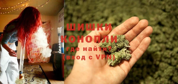 первитин Заводоуковск
