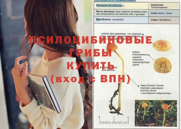 МДПВ Заволжье