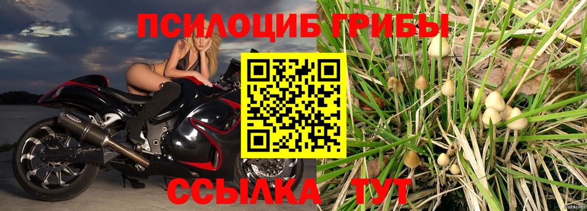 Галлюциногенные грибы мухоморы  Вход с VPN  Севастополь  Псилоцибиновые грибы Magic Shrooms 