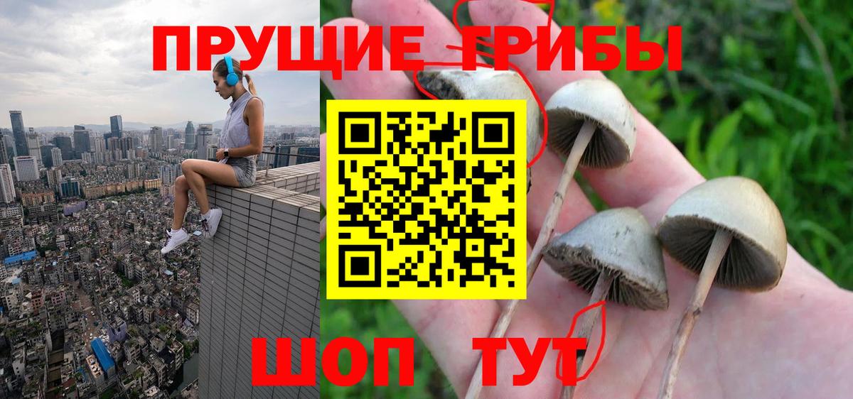 Псилоцибиновые грибы GOLDEN TEACHER Севастополь
